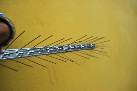 ακιδες περιστεριων, ακιδες πτηνων, ακιδες για περιστερια, ακιδες για πτηνα, ακίδες περιστεριών, ακίδες πτηνών, ακίδες για περιστέρια, ακίδες για πτηνά, akides peristeriwn, akides peristerion, akides ptinwn, akides ptinon, akides gia peristeria, akides gi