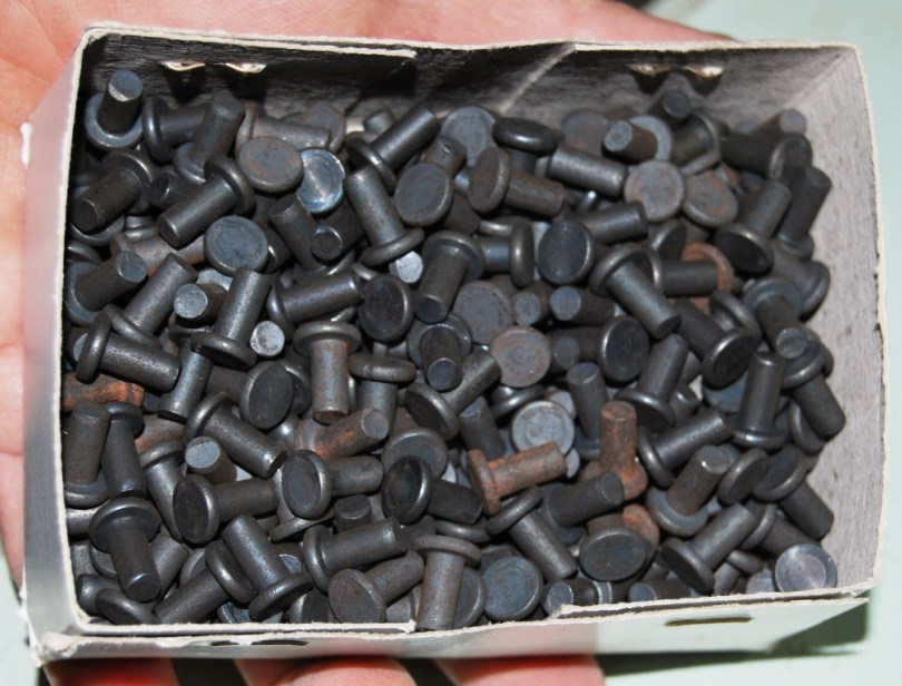 πριτσινια, pritsinia, πριτσινια πλατυκεφαλα