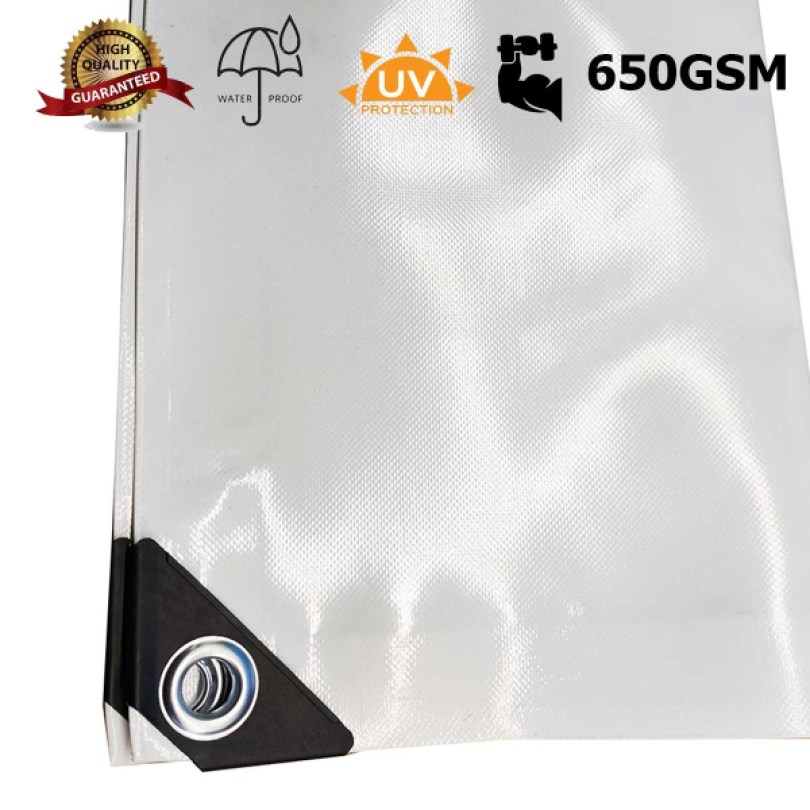 650daliwhite